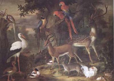 Jakob Bogdani Birds and deer in a Garden (mk25)